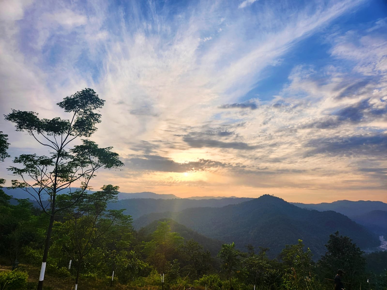 Homestay View